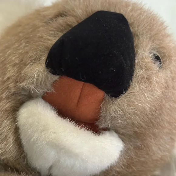 Folkmanis Full Body Hand Puppet 15" KOALA BEAR Plush And EUCALYPTUS W/Tags Read - Picture 10 of 16